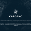 仮想通貨カルダノのロゴマーク
